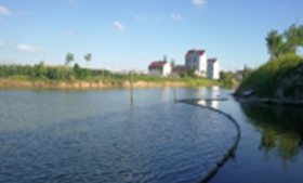 從渾濁污染到碧波蕩漾的搖身轉(zhuǎn)變