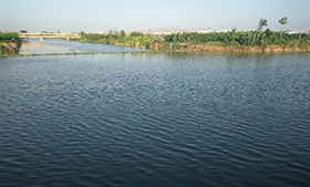 國家新能源工程技術(shù)研究中心領(lǐng)導(dǎo)參觀我公司項(xiàng)目基地