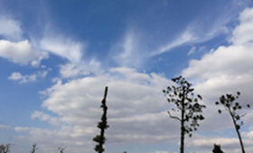 協(xié)同超凈化護航中國國際進口博覽會