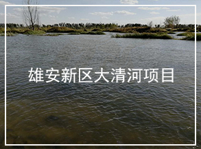 雄安新區(qū)-大清河尾水渠（坑塘）
